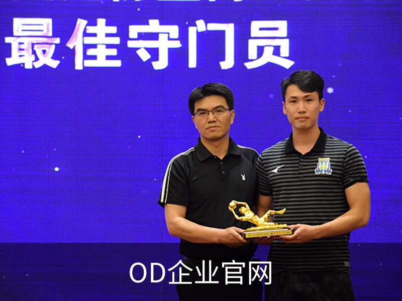 关于OD企业官网